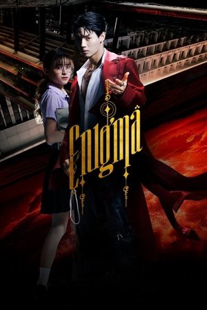Enigma izle