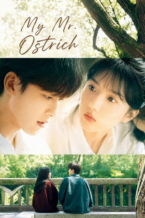 My Mr. Ostrich izle