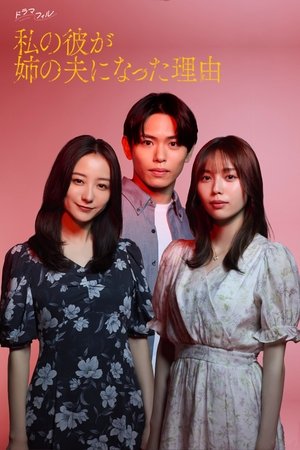 The Reason My Boyfriend Married My Older Sister izle