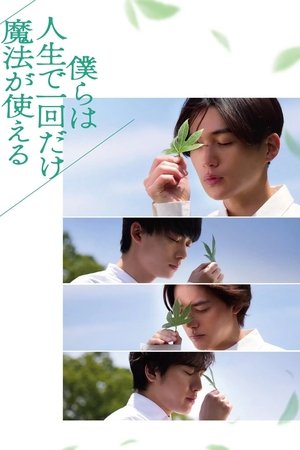 Bokura wa Jinsei de Ikkai dake Maho ga Tsukaeru izle