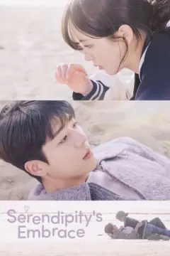 Serendipity's Embrace afişi