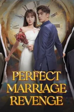 Perfect Marriage Revenge afişi