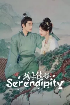 Serendipity afişi