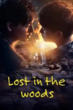 Lost in the Woods afişi