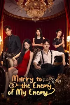 Marry to the Enemy of My Enemy afişi